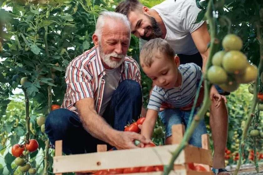 formation jardinage bio en ligne pas cher