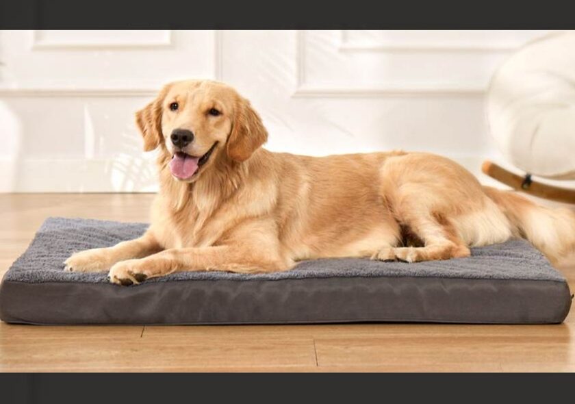 matelas pour chien voltaecho 91×68 cm