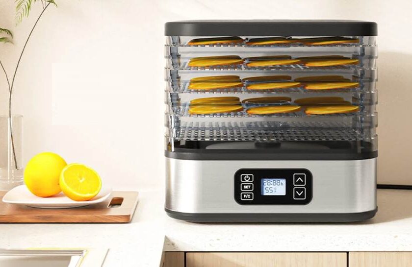 Déshydrateur alimentaire 5 plateaux WOOX à 32,29 € : une solution simple pour conserver vos aliments 🍎 Déshydrateur alimentaire 5 plateaux WOOX