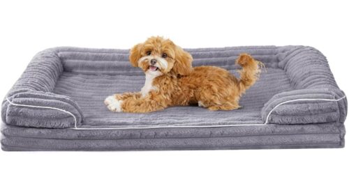 🐶 Panier pour chien VoltaEcho 75 cm à 29,99€ : confort orthopédique