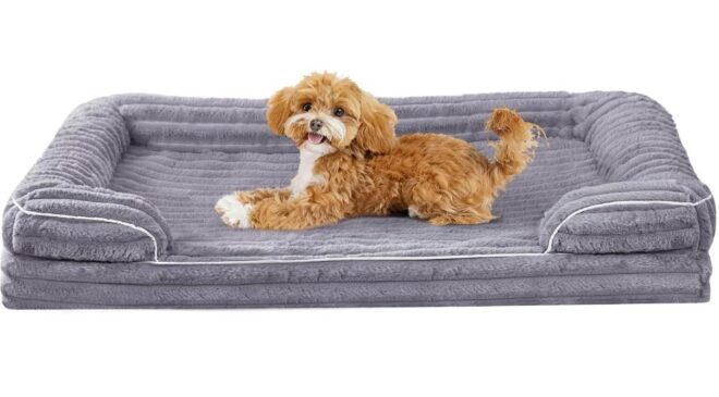 🐶 Panier pour chien VoltaEcho 75 cm à 29,99€ : confort orthopédique