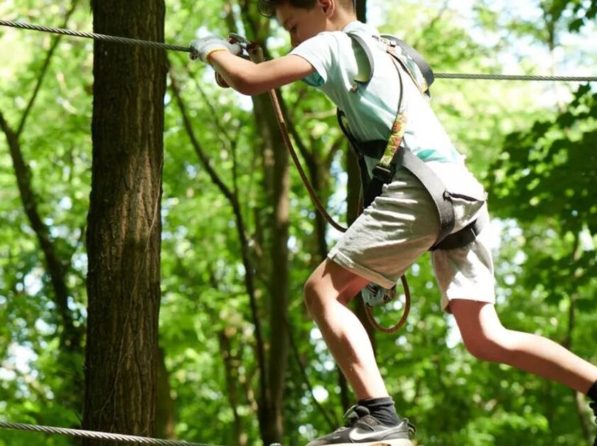 Une journée de défis en famille : l’accrobranche de Bron à prix réduit une journée de défis en famille accrobranche de bron à prix réduit