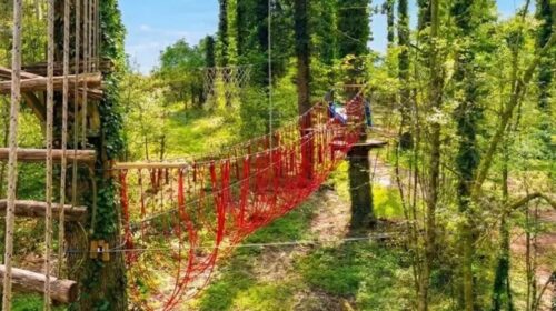 Accrobranche aux 6 Bonniers : Profitez de tarifs réduits pour des parcours en forêt !