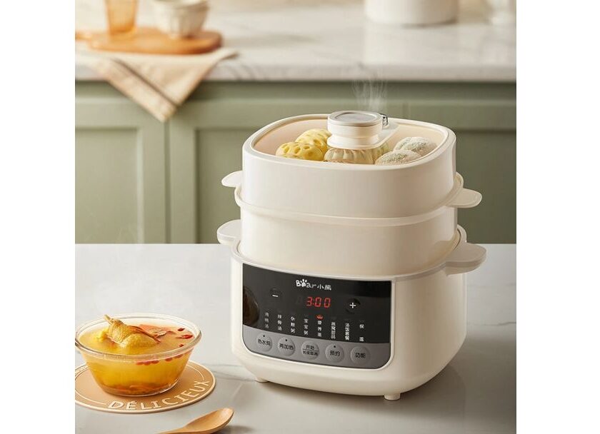 cuiseur vapeur multifonctions compact pour toute la famille