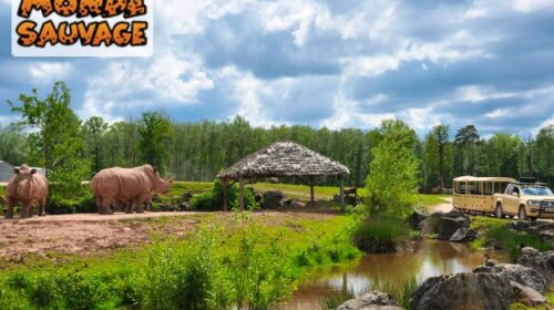 Offres spéciales sur les billets du Safari Parc Monde Sauvage