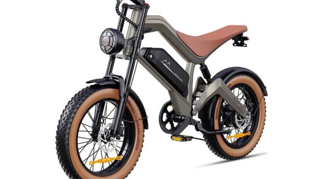 vélo électrique fat bike zonveer m20