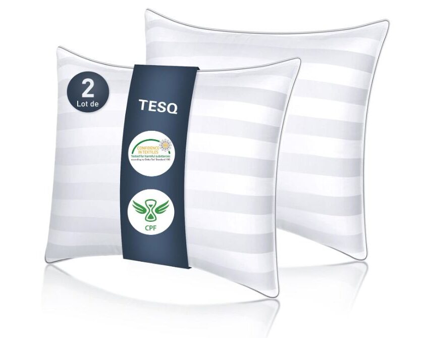 Lot de 2 oreillers 60×60 cm qualité hôtellerie Luxe TESQ à 29,60 € : confort optimal à petit prix 🛏️ lot de 2 oreillers 60x60 cm qualité hôtellerie luxe tesq