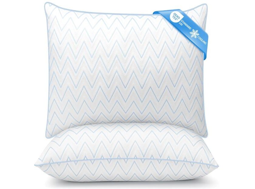 Lot de 2 oreillers TESQ 65×65 cm à 29,99€ : confort moelleux pour mieux dormir (respirant avec effet rafraîchissant) lot de 2 oreillers tesq 65x65 cm