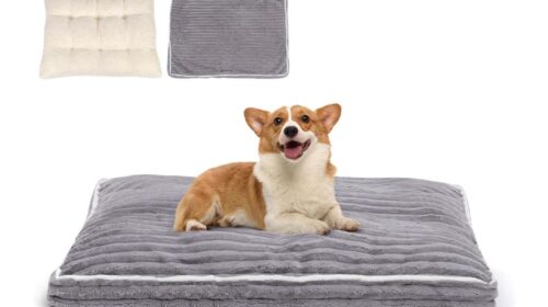 Matelas pour chien Voltaecho (13 cm épaisseur) : 23,99€ au lieu de 39,99€