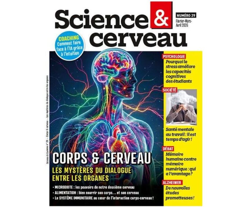 Bon plan abonnement Science et Cerveau : 2 ans pour 29,90 € au lieu de 55,90 € bon plan abonnement science et cerveau
