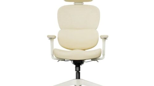 Chaise de bureau Welax S3 Pro à 204,99 € : plus de réglages pour travailler confortablement
