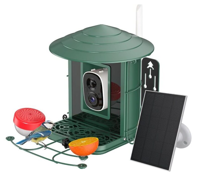 Mangeoire pour oiseaux avec caméra 4UMOR XL0218 à 39,99 € : une promotion pour observer les oiseaux en 2K 🐦 mangeoire pour oiseaux avec caméra 4umor