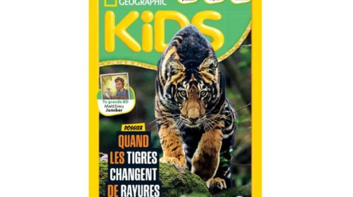 Abonnement National Geographic Kids pas cher : 43€ (⚡️FLASH ) le bon plan pour éveiller la curiosité des enfants
