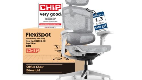 Promotion chaise ergonomique Flexispot ErgoX Pro à 359,99 € : confort ajustable et charge 250 kg