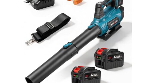 Bon plan jardin : le souffleur sans fil ONEVAN et ses 2 batteries à moitié prix